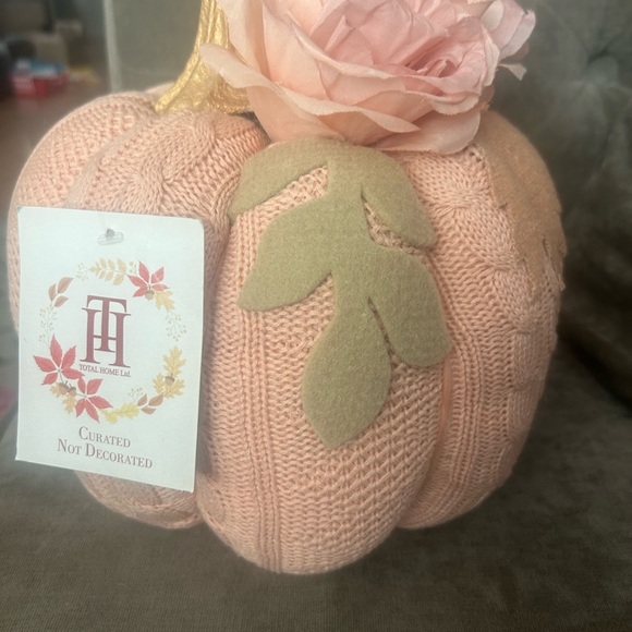 new - Holiday Fall Pumkin Decor - Picture 3 of 7